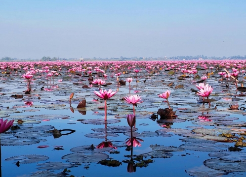 タレーブアデーン